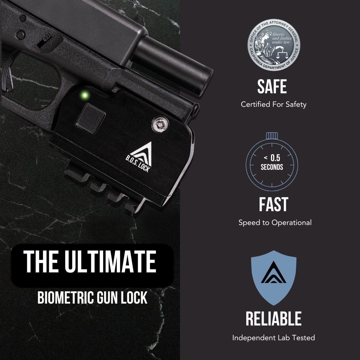 Mark III Biometric Gun Lock
